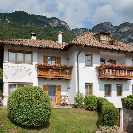 Apartments Herrnhofer Caldaro Exteriér fotografie